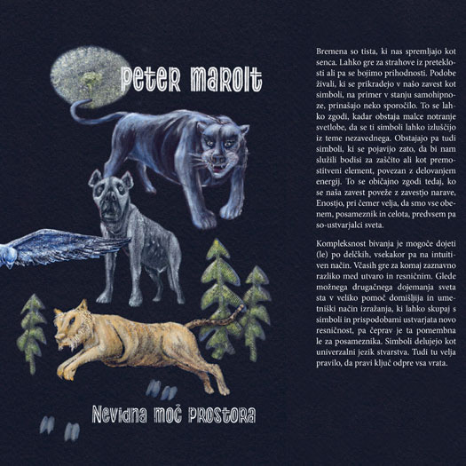 Nevidna moč prostora